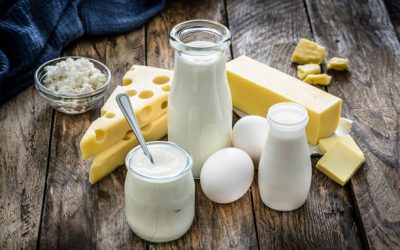 What You Must Know About Dairy and Bone Health