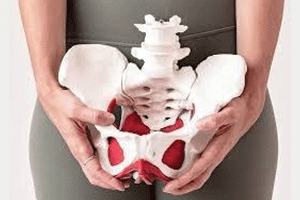 The Pelvic Floor: where is it, what it does, and why it matters