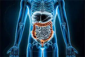 Gut Health, Strong Bones; The Hidden Connection You Need to Know