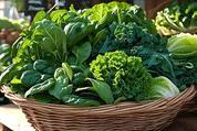 Navigating Oxalates: How to Improve Calcium Absorption for Stronger Bones